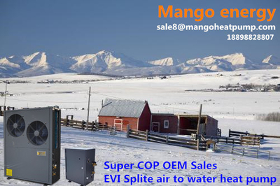Super Cop OEM Sales 8kw 10kw 15kw 20kw New Energy Evi Air to Water Heat Pump