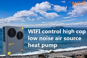 R410 R407 Refrigerant Air to Water/Air Source Heat Pump Water Heater Passed Ce TUV ISO9001 Cetificate
